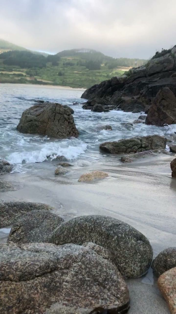 939c8e73c371