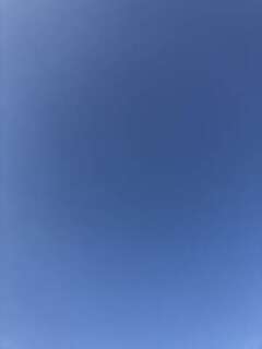 21e83130c422