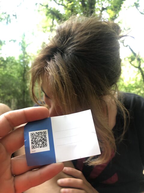 7ec78d33e503
